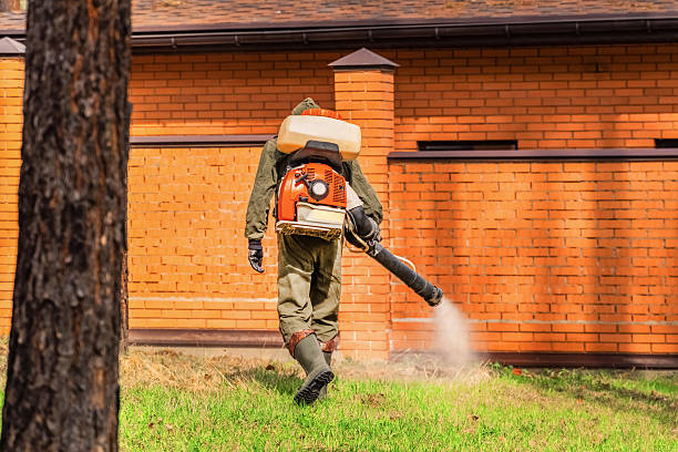 Trusted Ant Control service in Clifton Heights, PA - Nex Pest Control